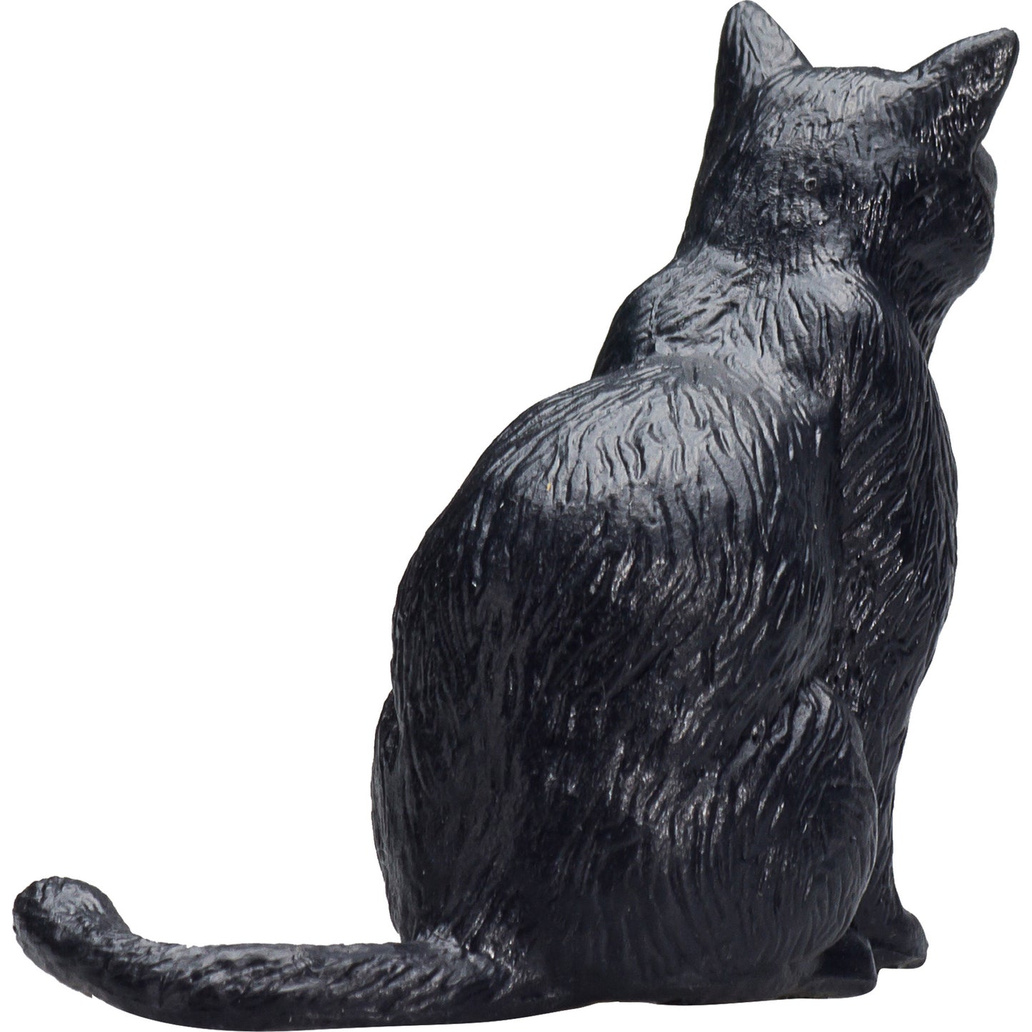 Cat Sitting Black