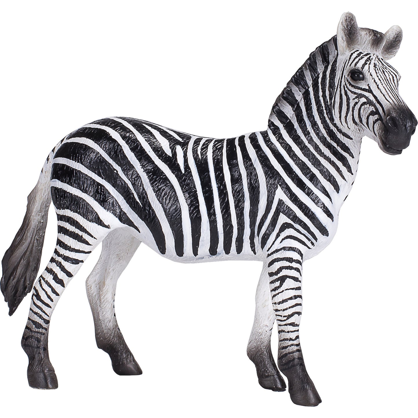 Zebra Mare