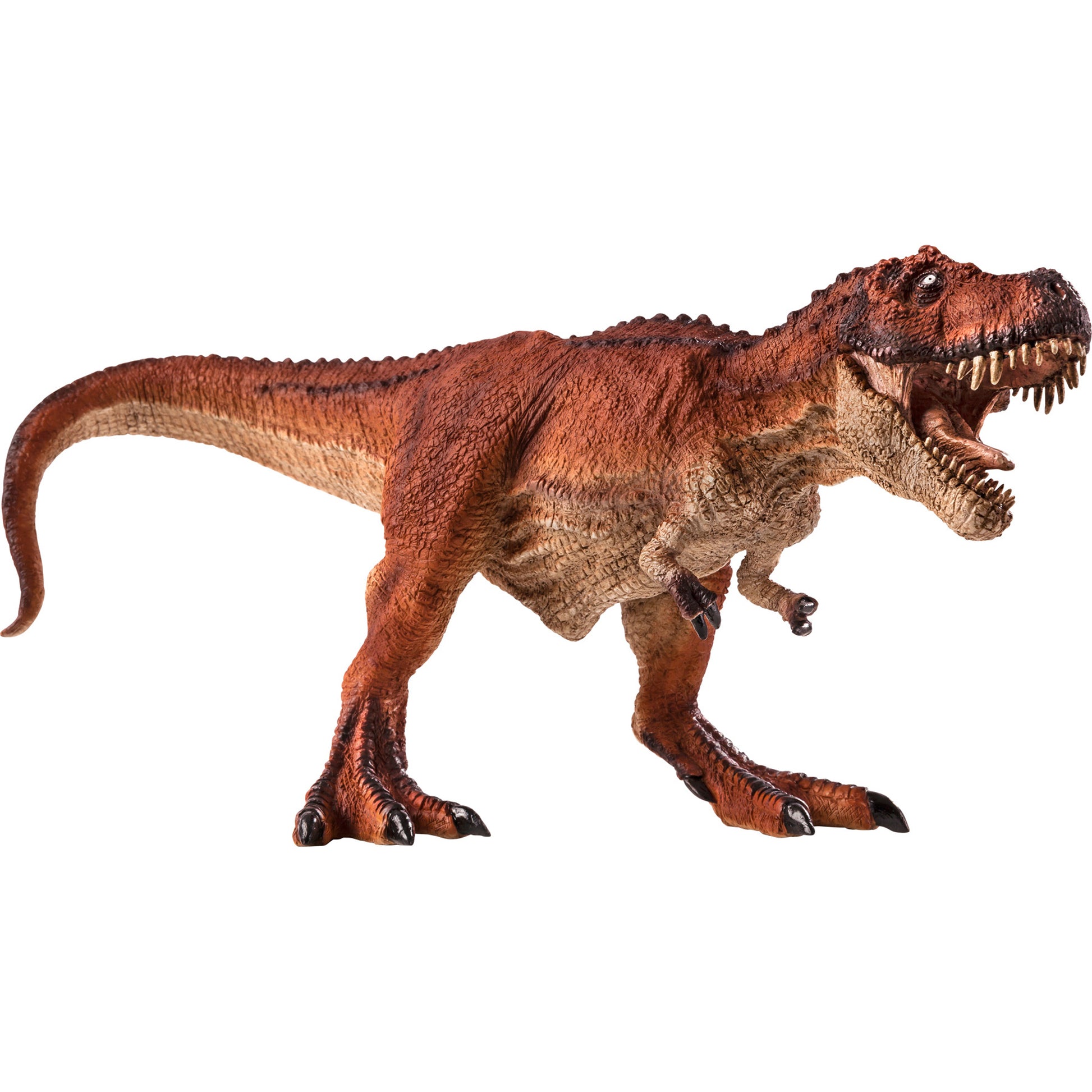 Buy Dinosaurs of North America- Tyrannosaurus Rex