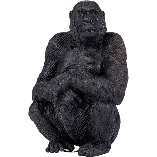 Gorilla Female