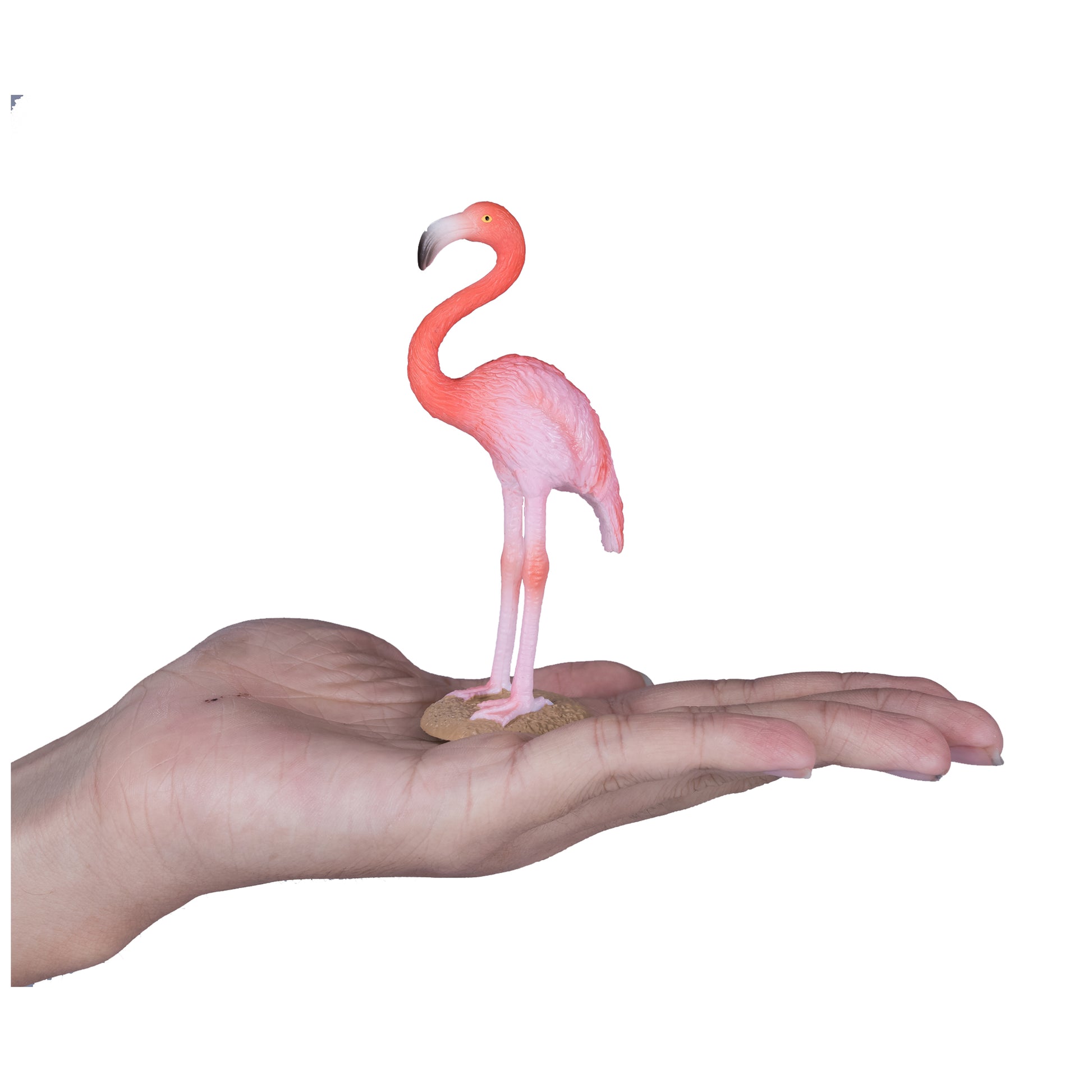Trona Evolutiva Paulette - Color Flamingo con Ofertas en Carrefour