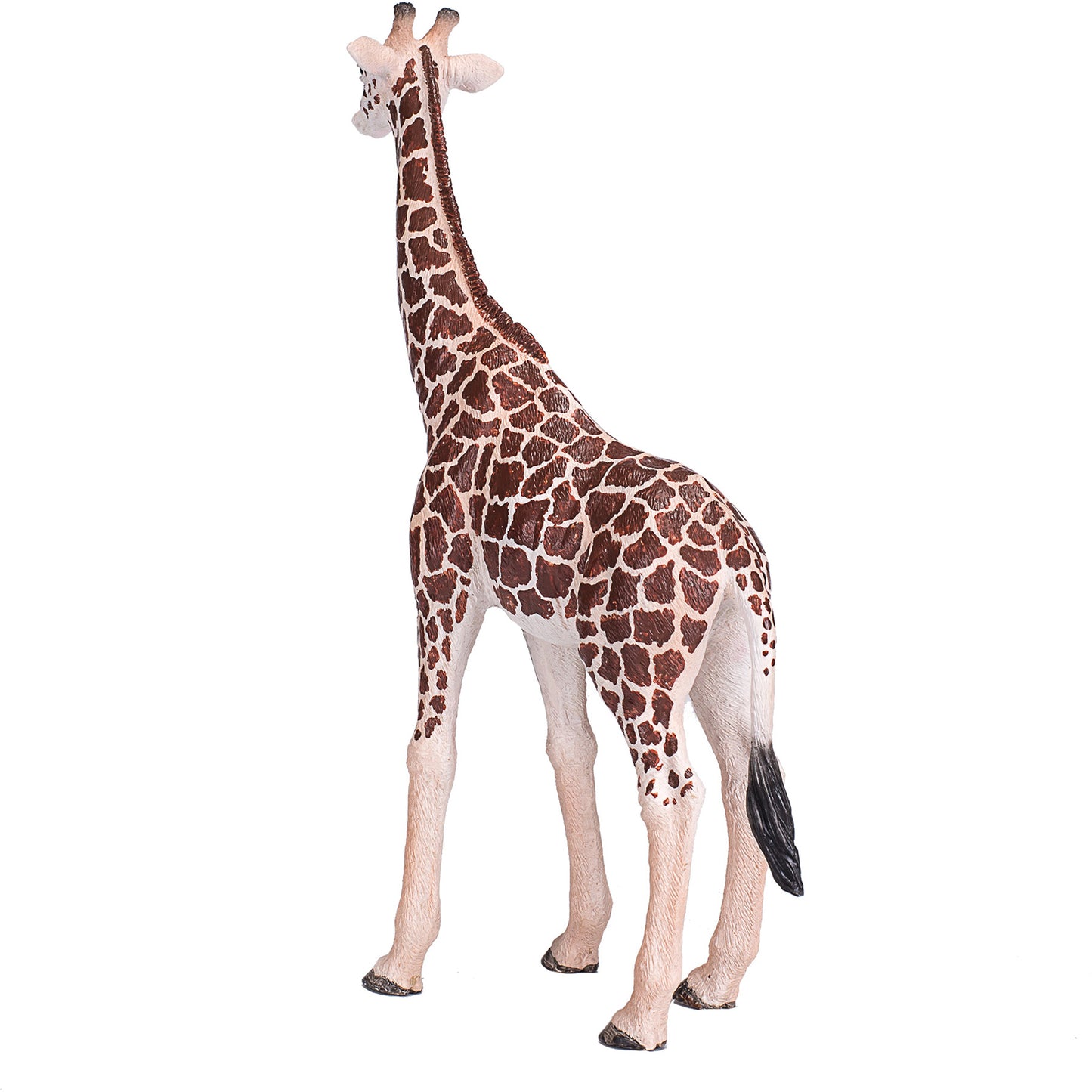 Giraffe Male