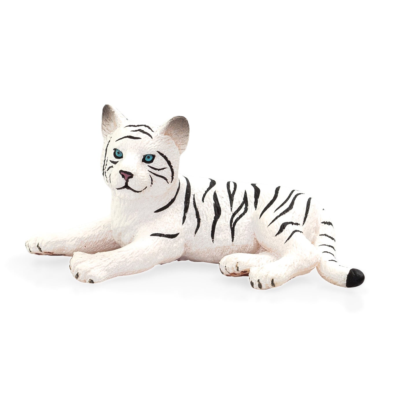 White Tiger cub lying down