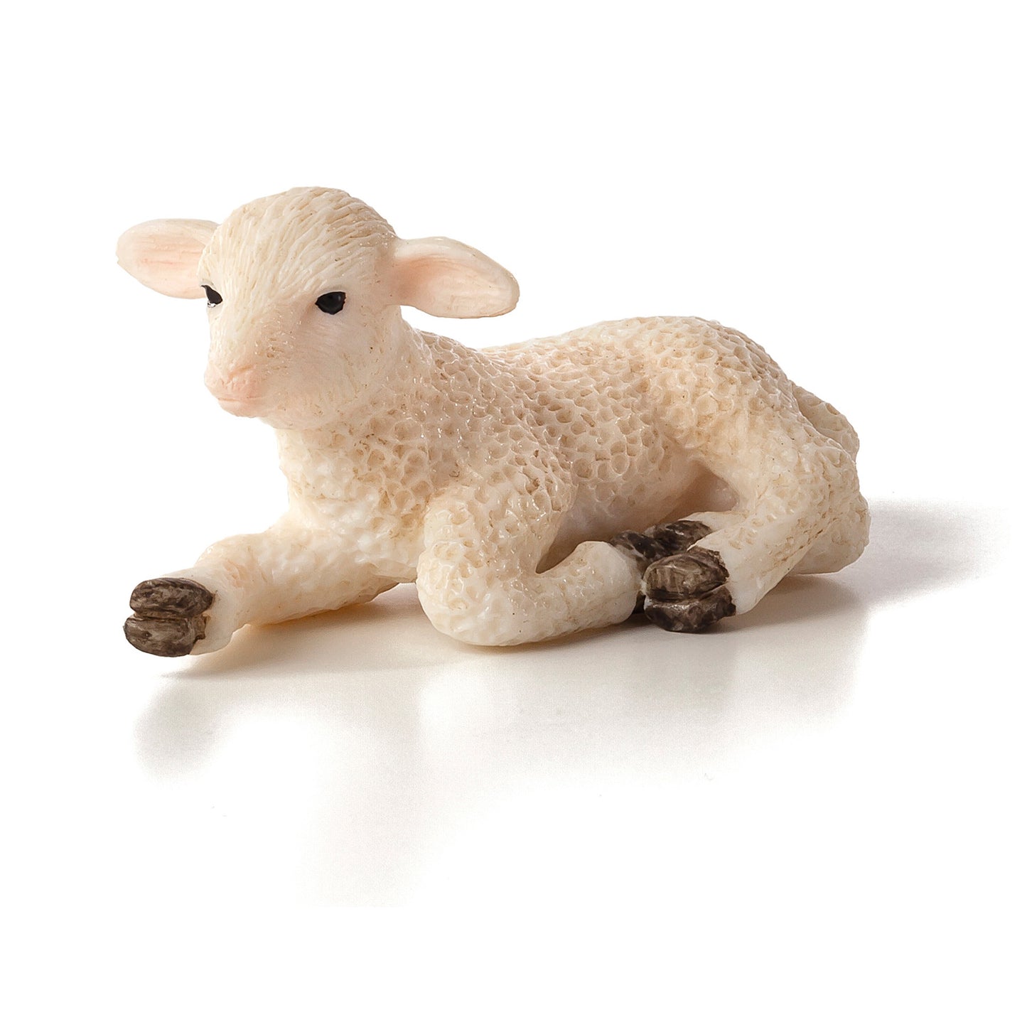 Lamb Lying down