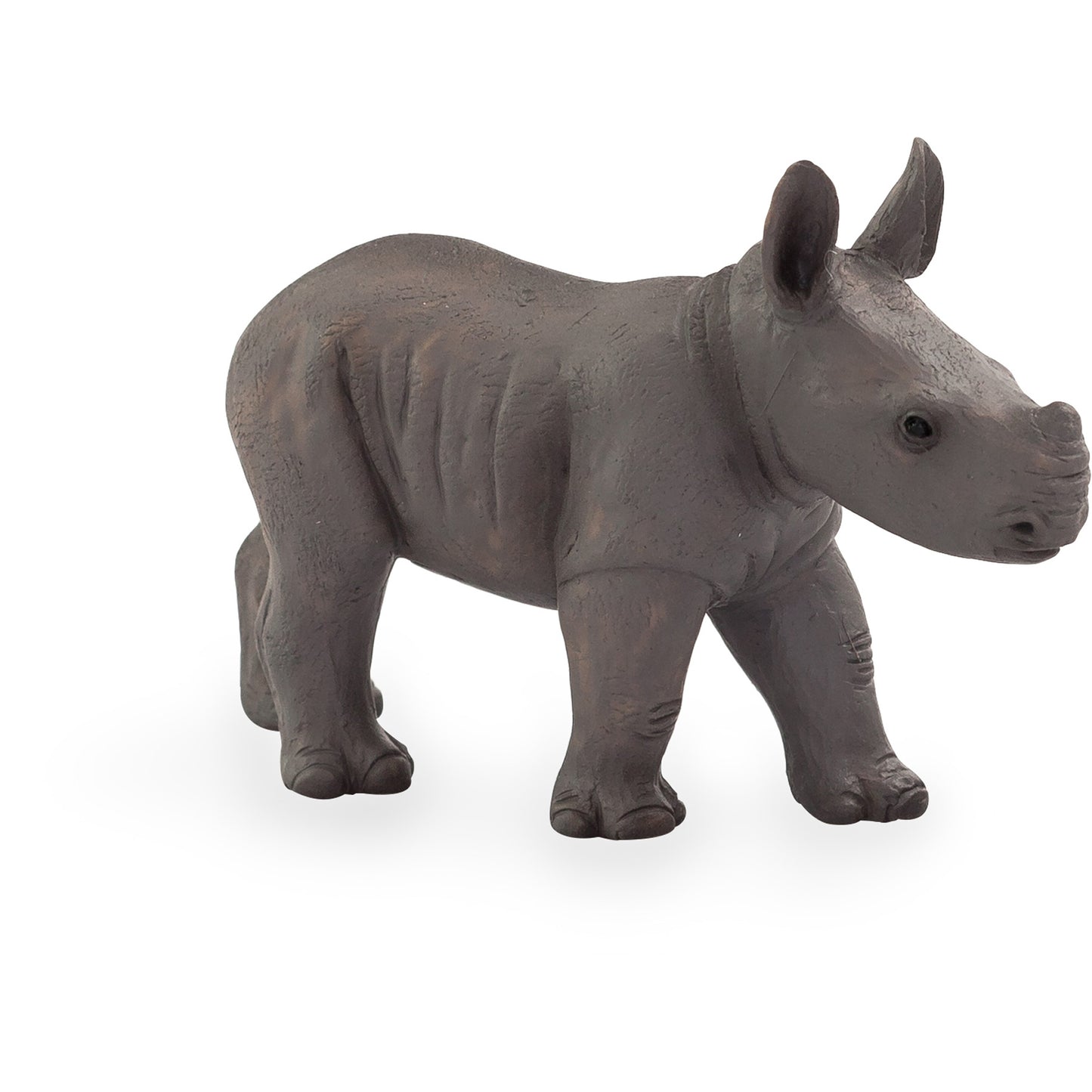 Rhino Baby