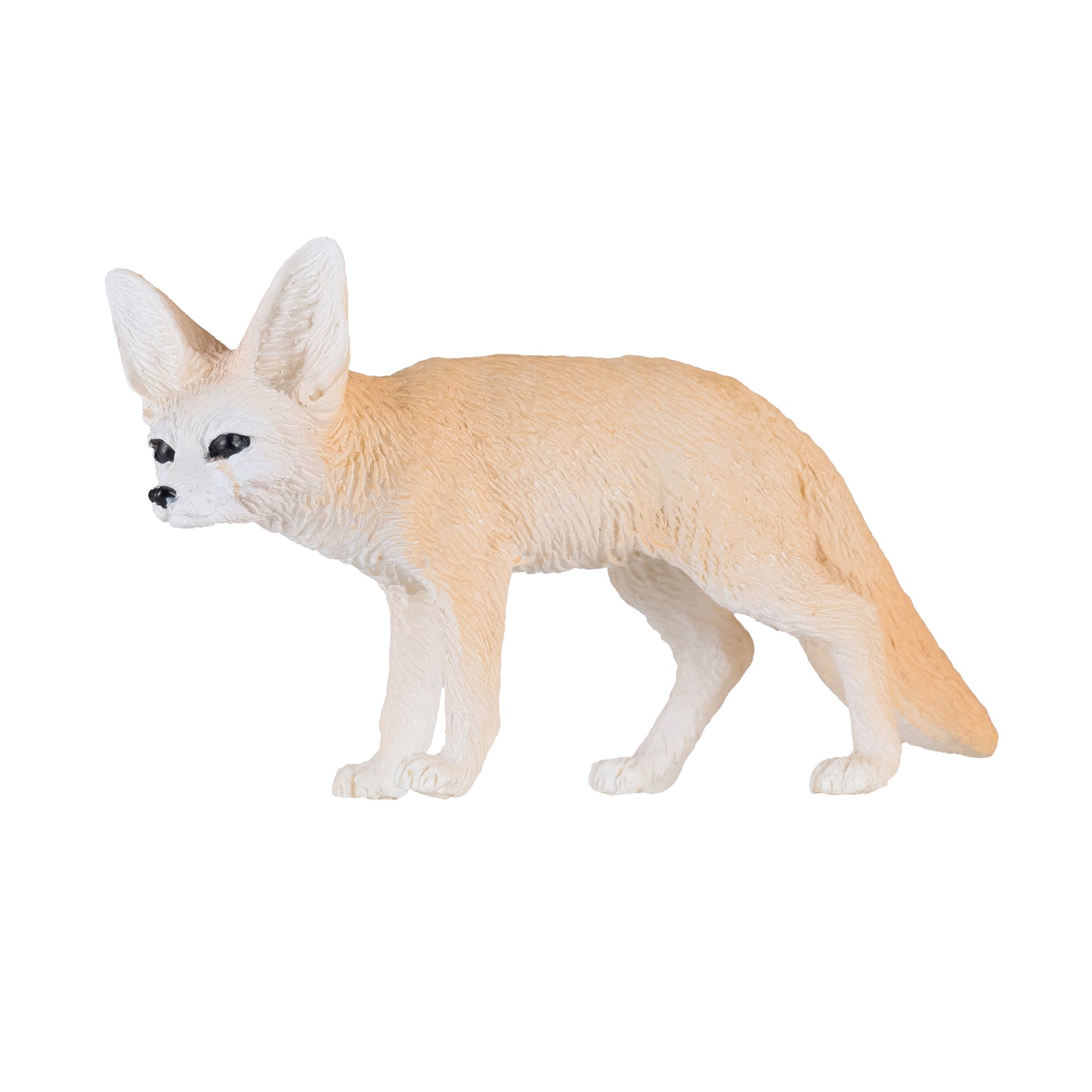 Fennec Fox – Hauck North America