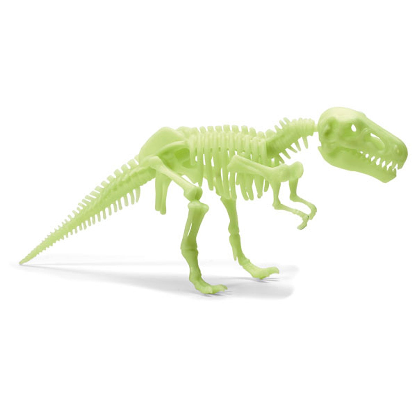 Glow Dinos T Rex Skeleton