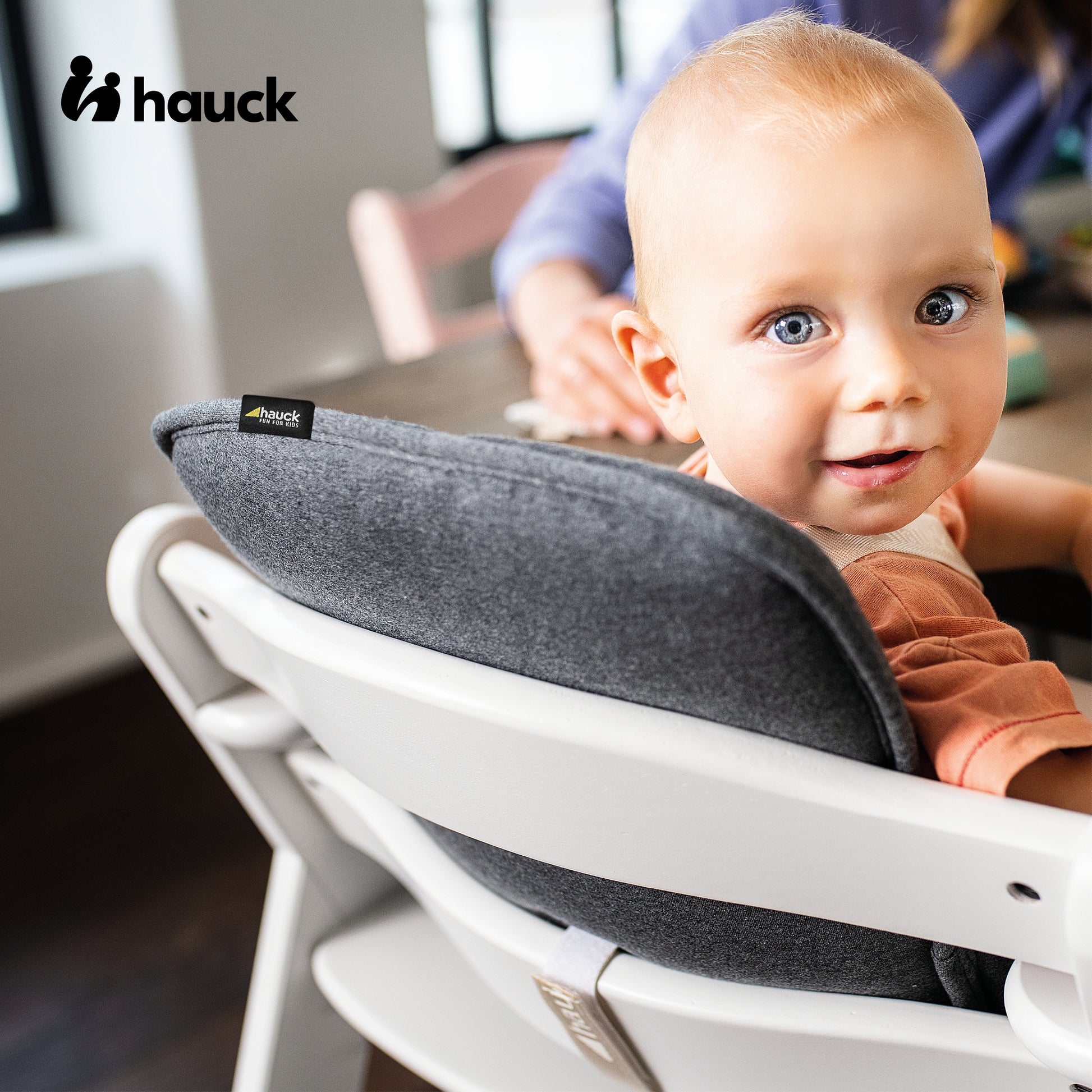  hauck AlphaPlus Grow Along Wooden High Chair Seat with Grey  Removable Tray Table and Deluxe Seat Cushion Pad for Babies 6 Months and Up  : Clothing, Shoes & Jewelry