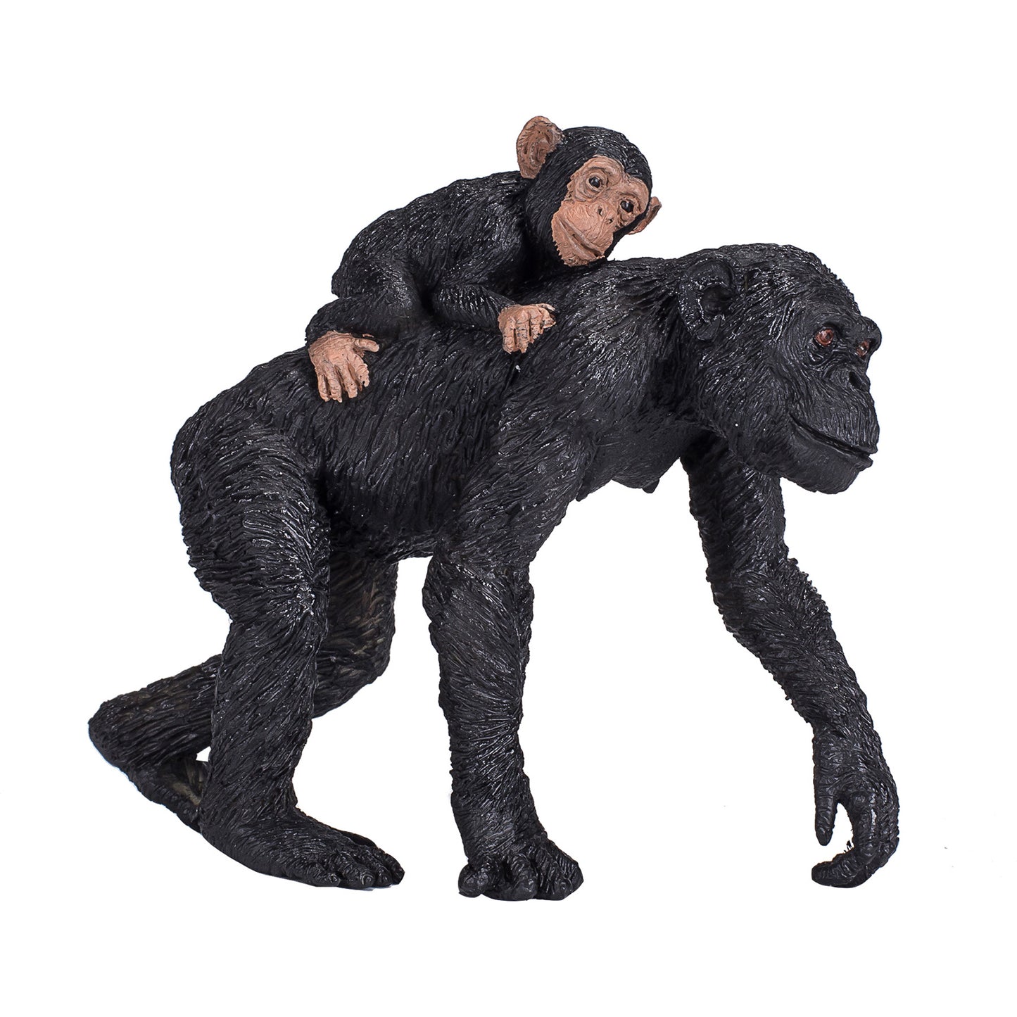 Chimpanzee and Baby