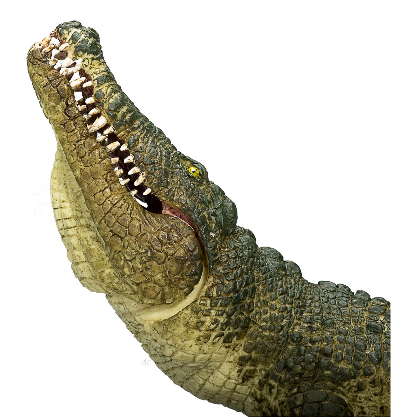 Crocodile with Moving Jaw